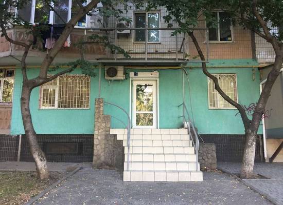 коммерческая недвижимость, 47,00 кв.м., Добровольського просп. (Князя Володимира Великого прос.) — фото 12