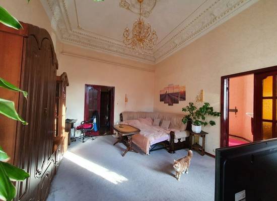 6-кімнатна квартира, 209,00 м², Жуковского ул. (Святослава Караванского ул.) — фото 1